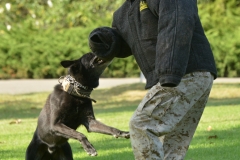 CPHS Afternoon at the Ranch House-18